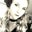 Courtney Weiler's profile image