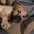 Chris's profile image