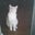 Sara Busby's profile image