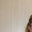 Jessie Luensmann's profile image