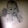 Brenten J Haver's profile image