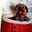 Tom Kirk 657's profile image
