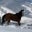 Sharon Sullivan- Craver's profile image