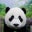 Josh Fawzy's profile image