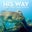 His Way Bass Fishing Guide's profile image