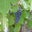Ginny Striewig's profile image