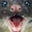 Jimbo Lane's profile image