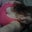 Trisha Sorrendino's profile image