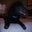 Kathleen Mierholtz's profile image