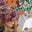 Sarah Burghardt's profile image
