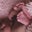 nessa hernandez's profile image