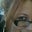 Belizita Rodriguez's profile image