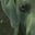 David Verderame's profile image