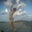 MaryBeth Thornburg's profile image