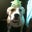 Digger's profile image