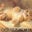 Sheri Vegas's profile image