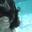 Diane S's profile image