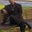 Bezil Taylor's profile image