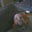Kevin Daugherty's profile image