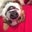 Michael Garcia's profile image
