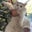 DadiP's profile image