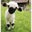 Tulay A's profile image