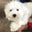 Jett G's profile image
