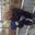 Christopher Kania's profile image