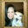 Kim Berkheiser's profile image