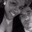 Kyla Vanchieri's profile image