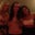 Caitie Christian's profile image