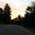 Amanda Burrell's profile image
