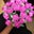 Lo S's profile image
