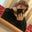 Maleah Gilliam's profile image