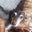 David Plotnik's profile image