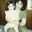 Phyllis Putterman's profile image