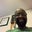 Pete Haywood's profile image