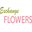 Exchange Flowers's profile image