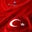 Huseyin Avni Akıncı's profile image