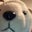 Leo Alba's profile image