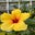 Lisa Roberts's profile image
