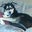Anna Leffew's profile image