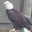 Kathleen Williams's profile image