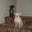 Karen Thomas Phelps's profile image