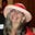 Andrea Foster's profile image