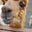 Kelly R's profile image