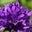 Bobbi Nunn's profile image