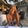 Isabelle Roshko's profile image