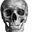 Jamie Gowern's profile image