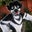 Balto / Riley W.